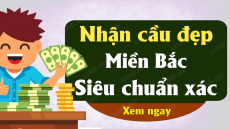 Dự đoán Xổ Số Miền Bắc ngày 13/11/2025 - Dự đoán XSMB 13/11/2025